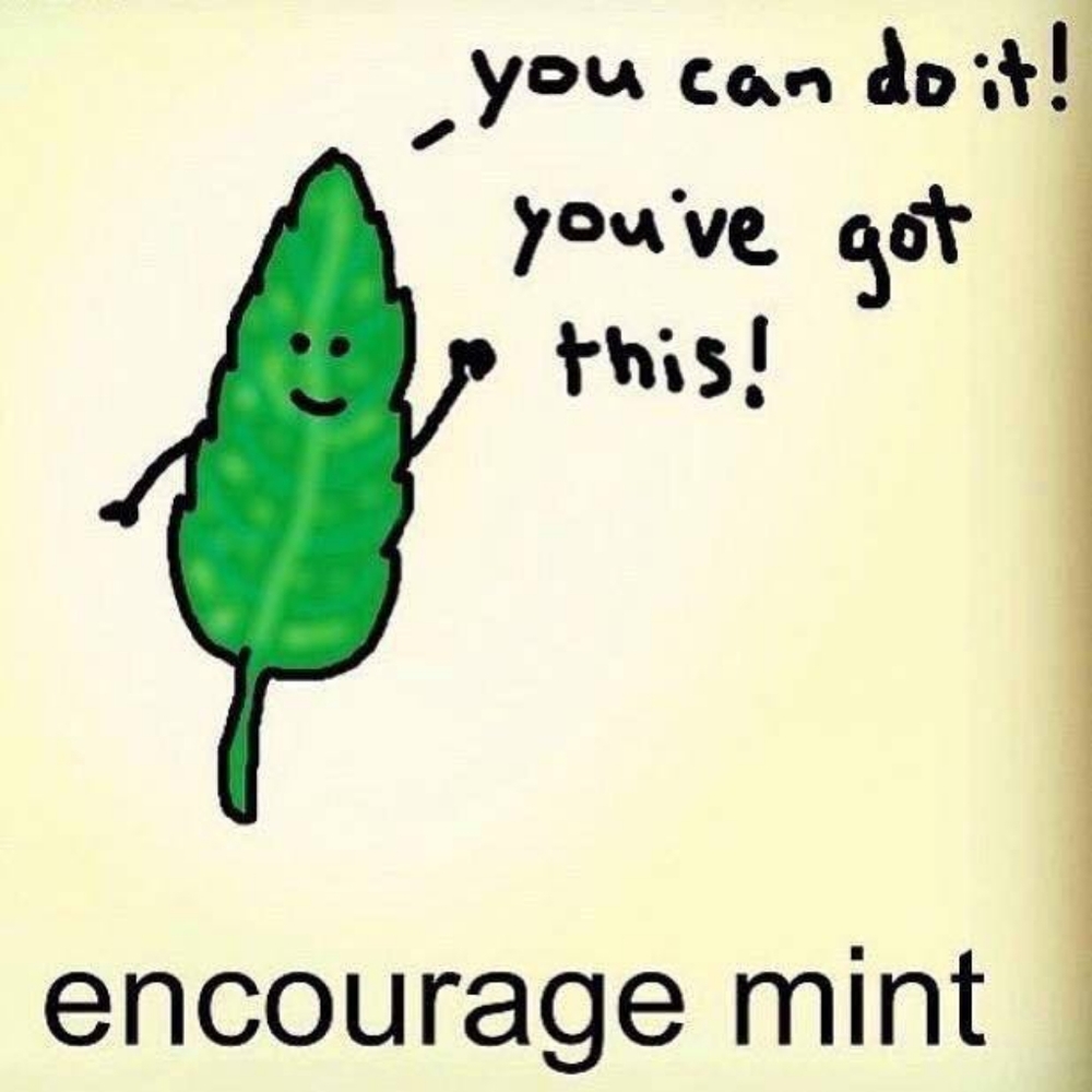 Bundle N Save - image 1